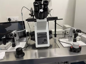 IVF treatment in Delhi