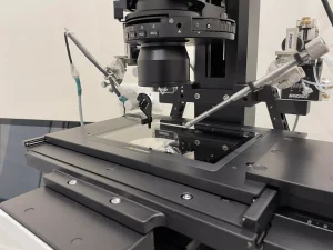 Top fertility specialist in Delhi